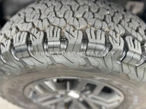 Xe Ford Ranger Raptor 2.0L 4x4 AT 2020