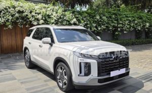 Xe Hyundai Palisade Prestige 2.2 AT HTRAC 2024