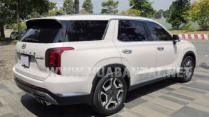 Xe Hyundai Palisade Prestige 2.2 AT HTRAC 2024