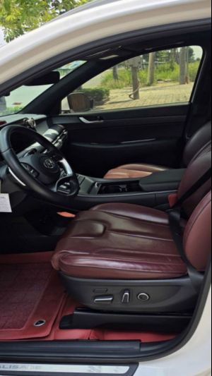 Xe Hyundai Palisade Prestige 2.2 AT HTRAC 2024