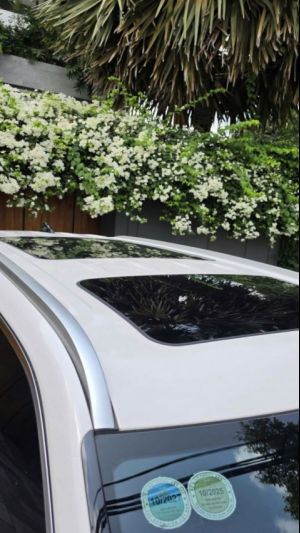 Xe Hyundai Palisade Prestige 2.2 AT HTRAC 2024